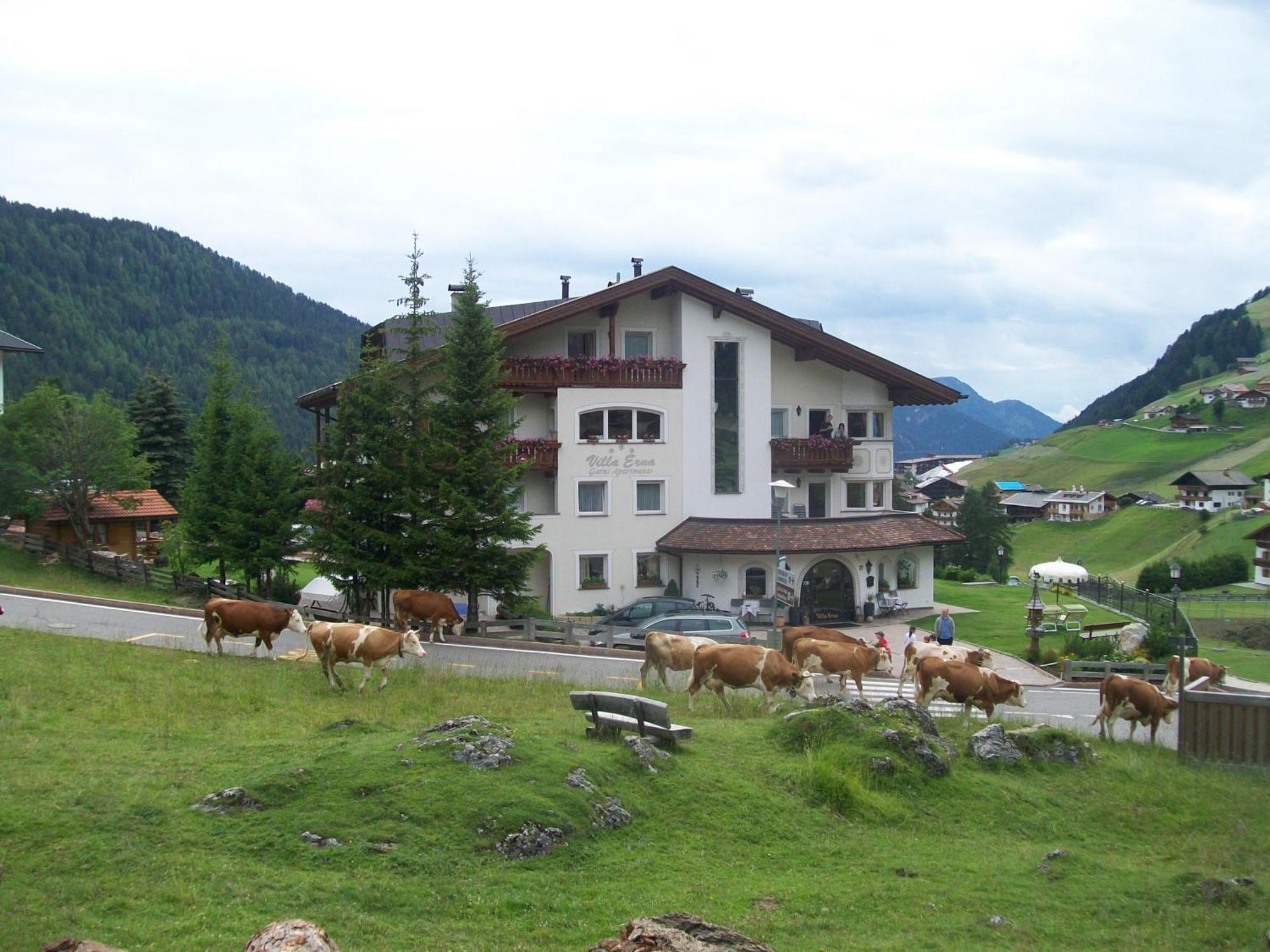 Garni Villa Erna Wolkenstein in Gröden Exterior foto
